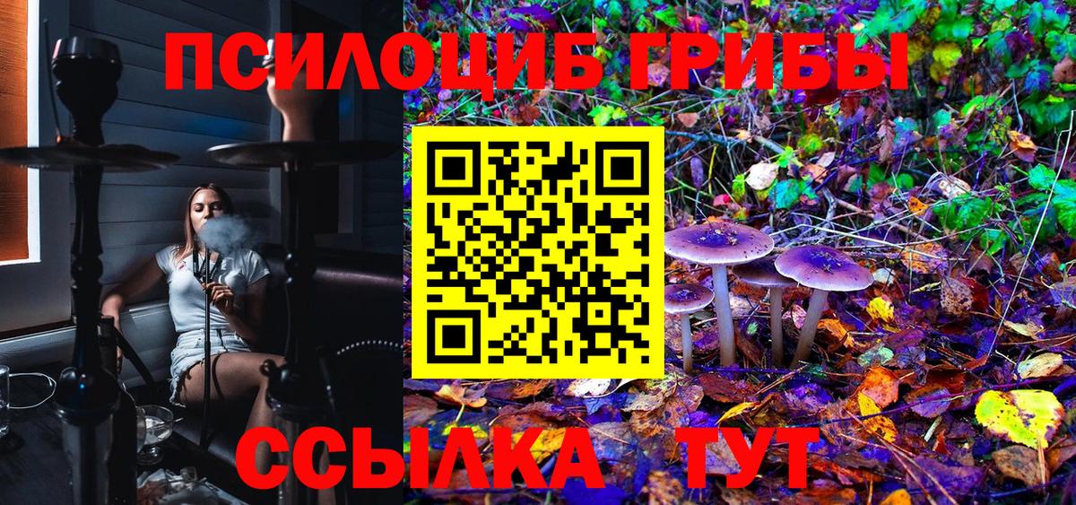 Звенигород  где продают   Вход с VPN  Псилоцибиновые грибы MAGIC MUSHROOMS  Псилоцибиновые грибы мухоморы 